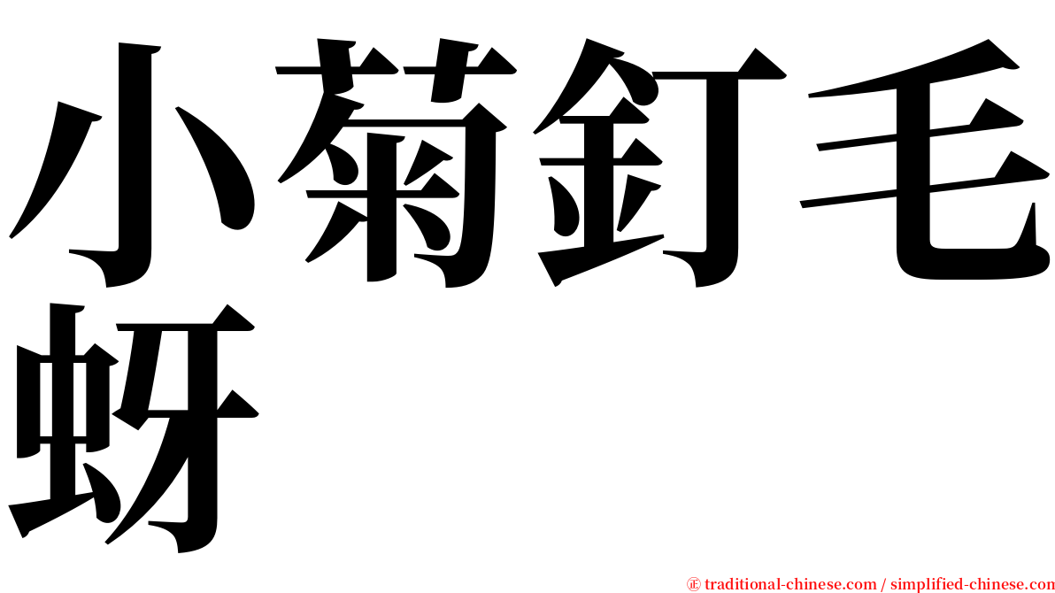 小菊釘毛蚜 serif font