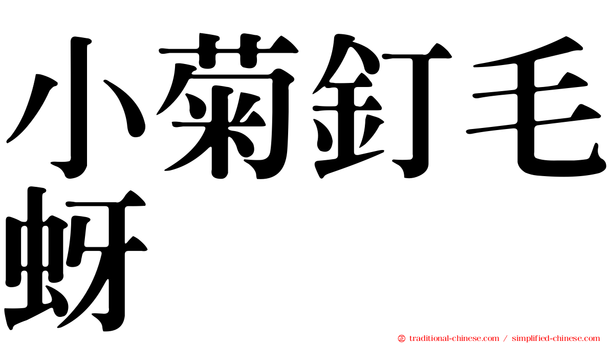 小菊釘毛蚜