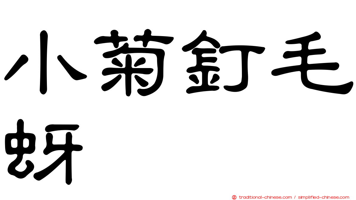 小菊釘毛蚜