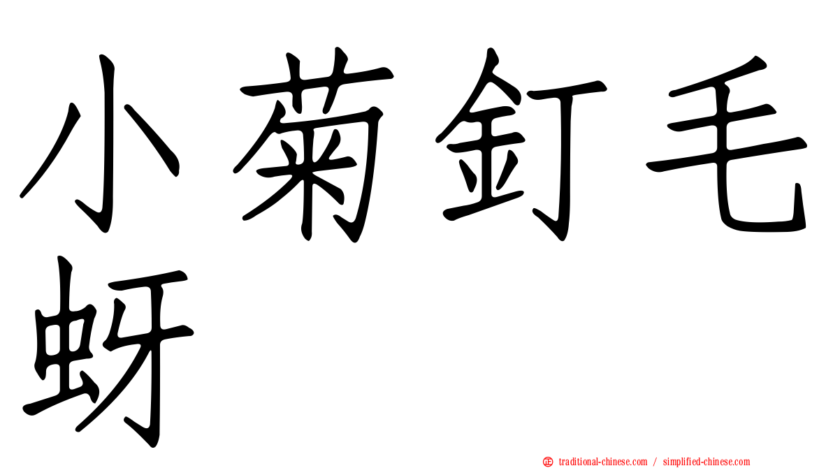小菊釘毛蚜