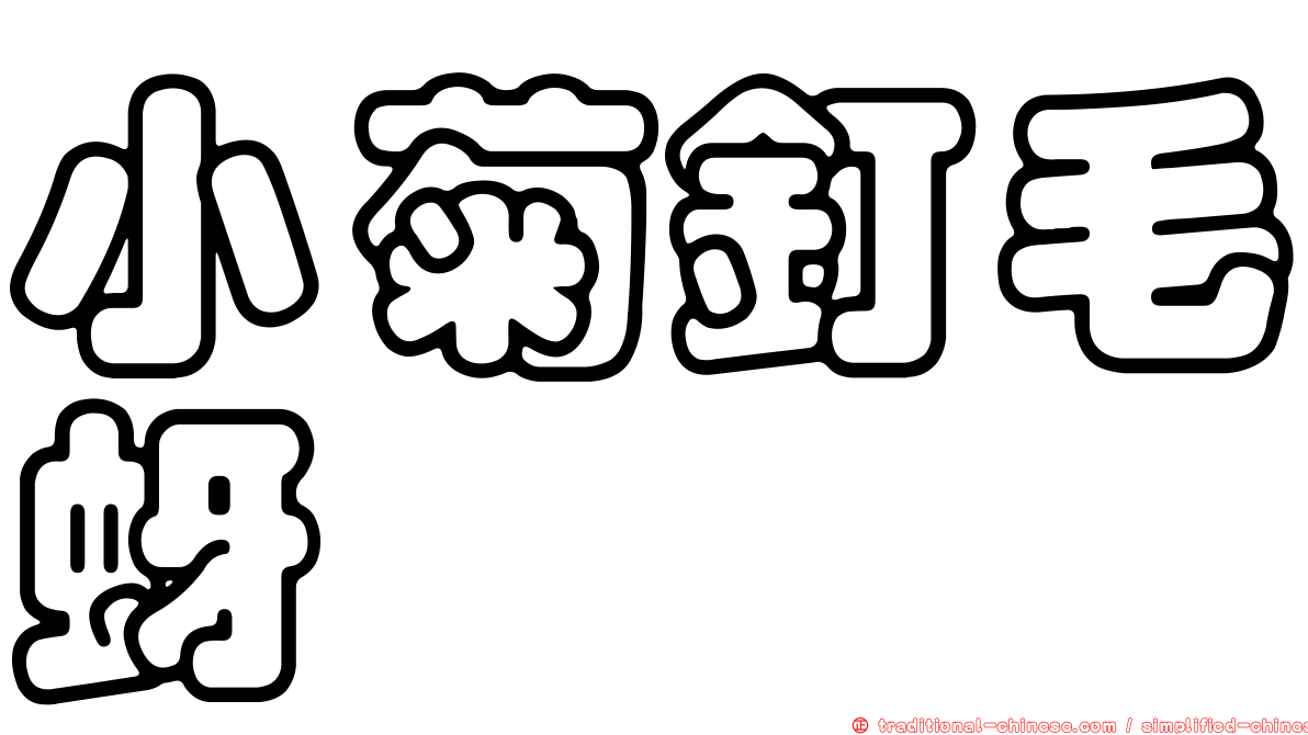 小菊釘毛蚜