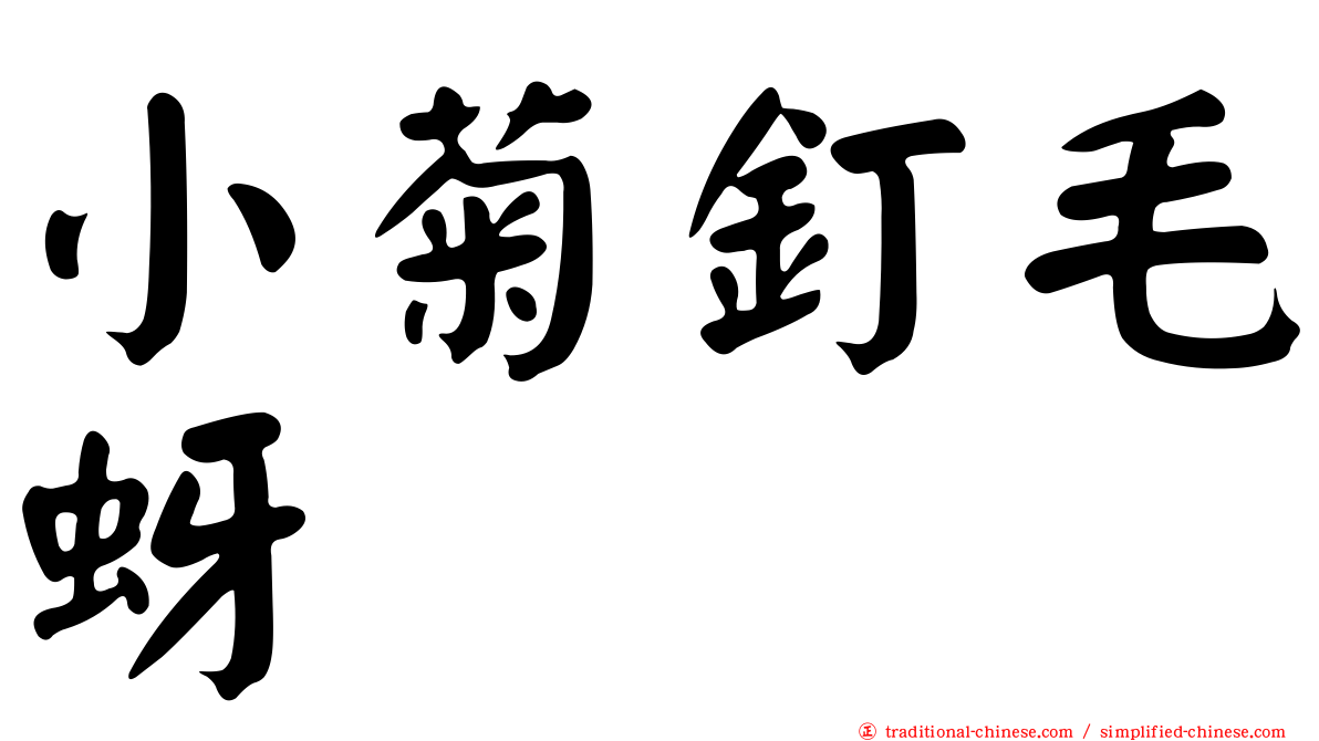 小菊釘毛蚜