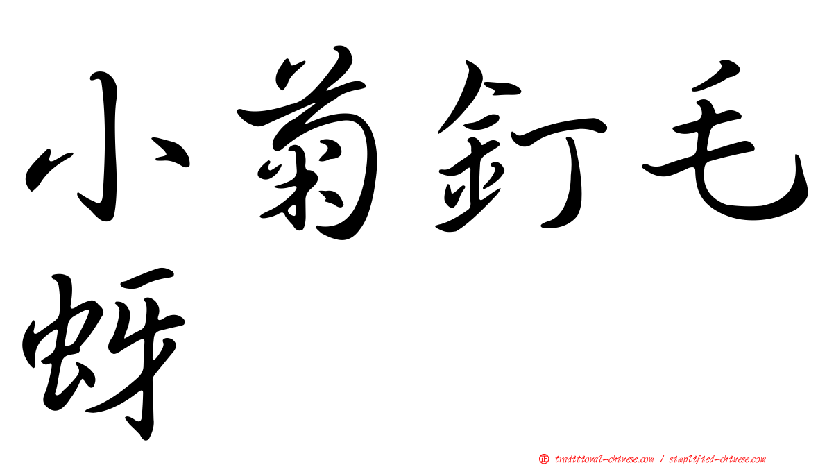小菊釘毛蚜