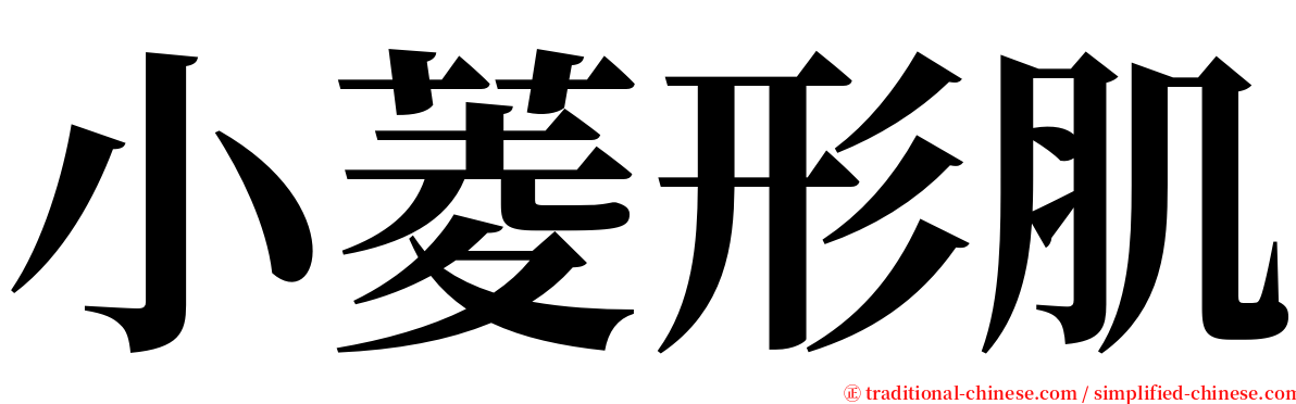 小菱形肌 serif font
