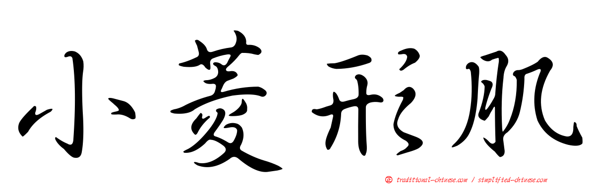 小菱形肌