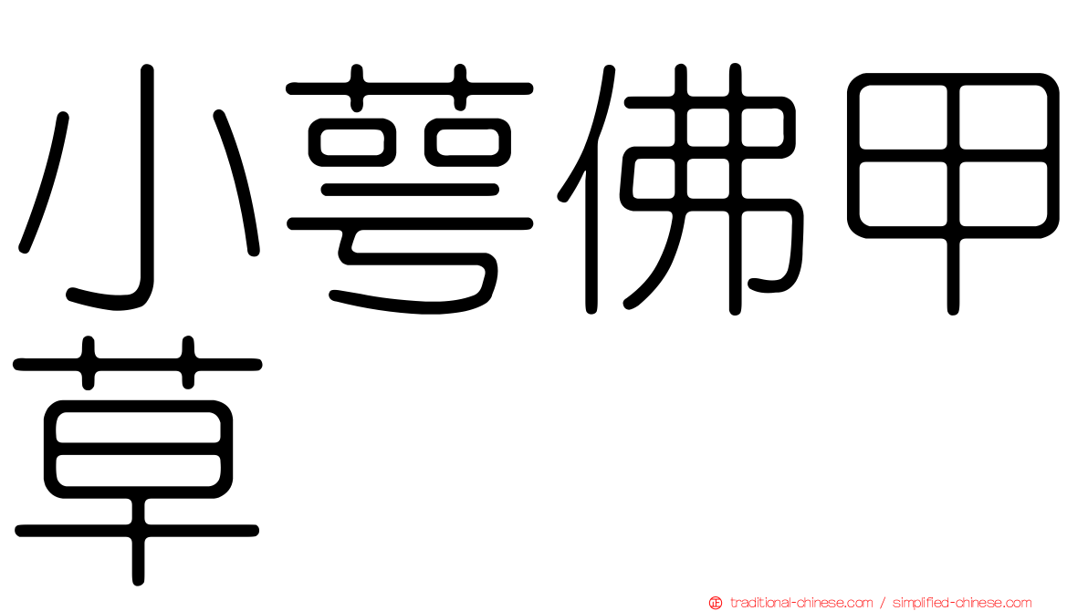 小萼佛甲草