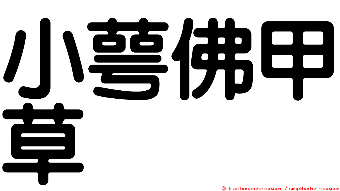 小萼佛甲草