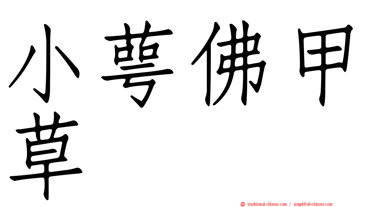 小萼佛甲草