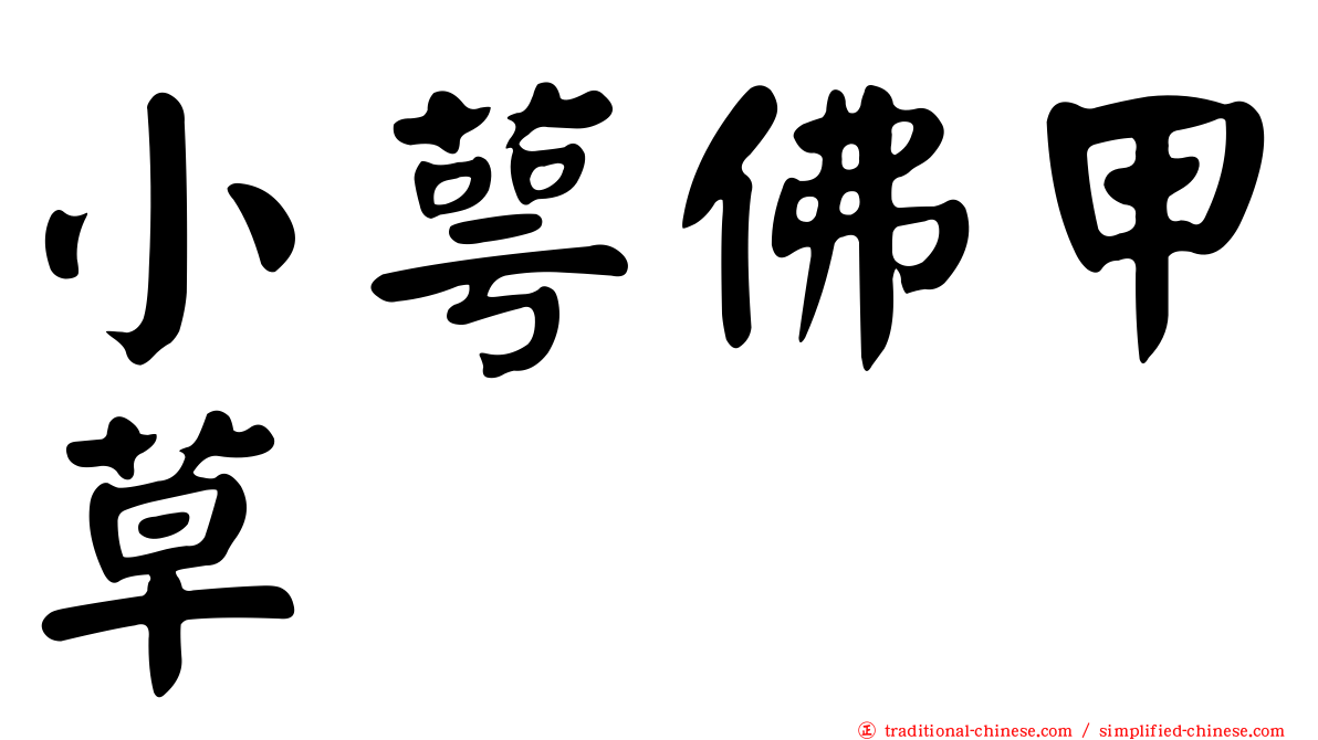 小萼佛甲草