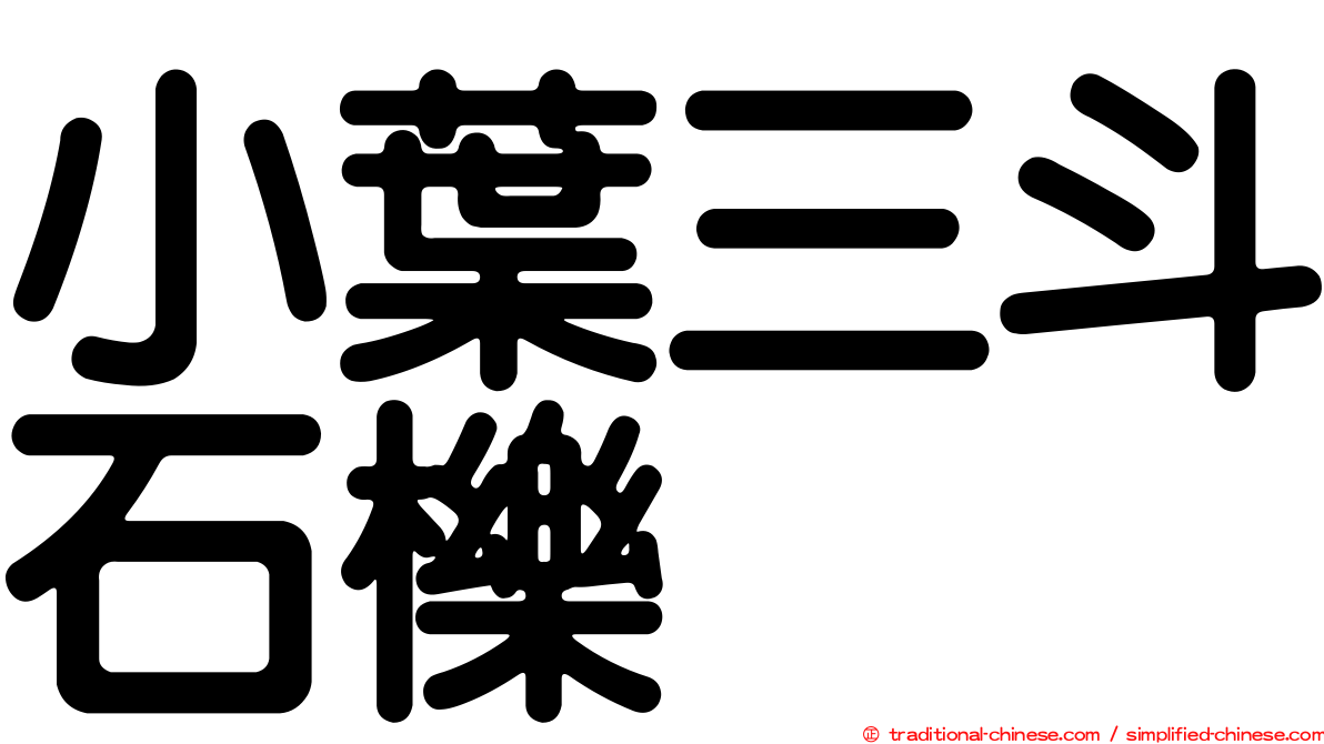 小葉三斗石櫟