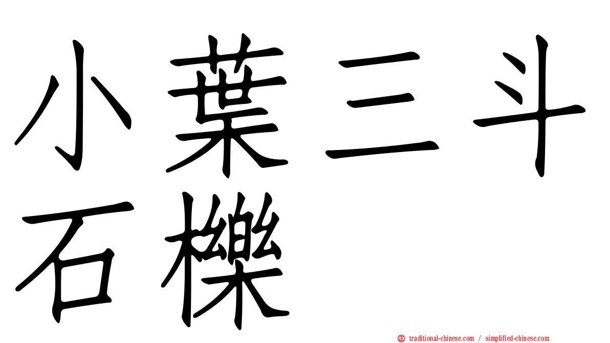 小葉三斗石櫟