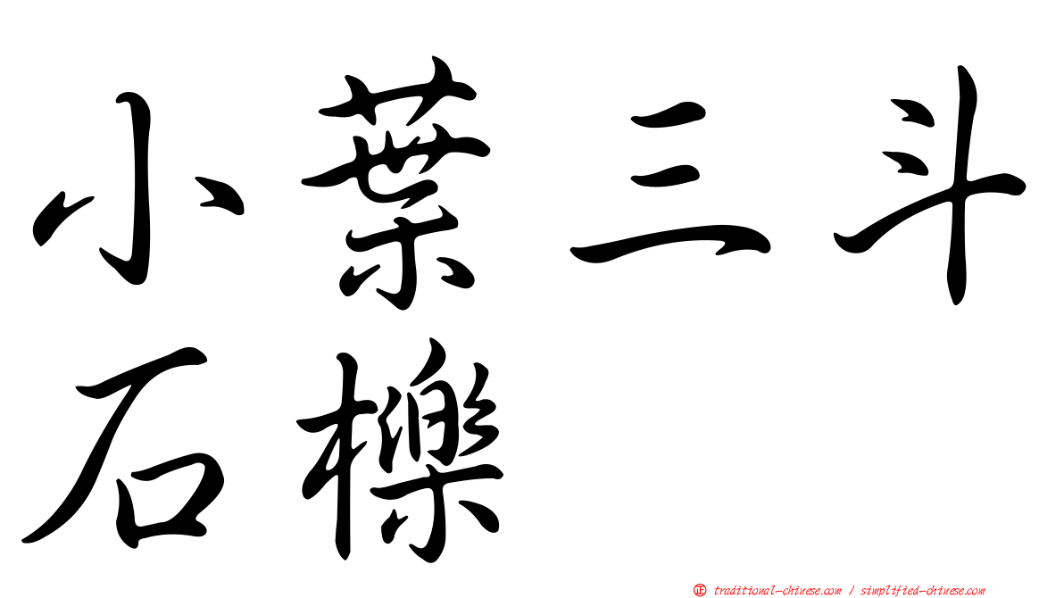 小葉三斗石櫟