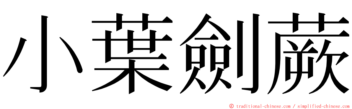 小葉劍蕨 ming font