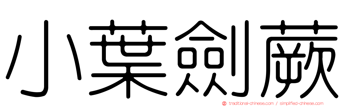 小葉劍蕨