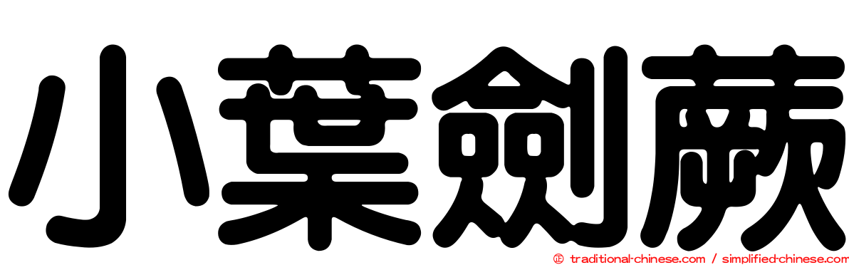 小葉劍蕨