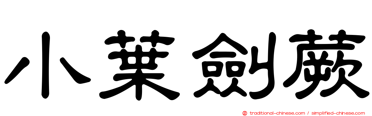 小葉劍蕨