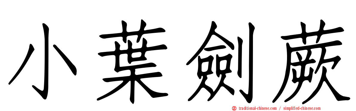 小葉劍蕨