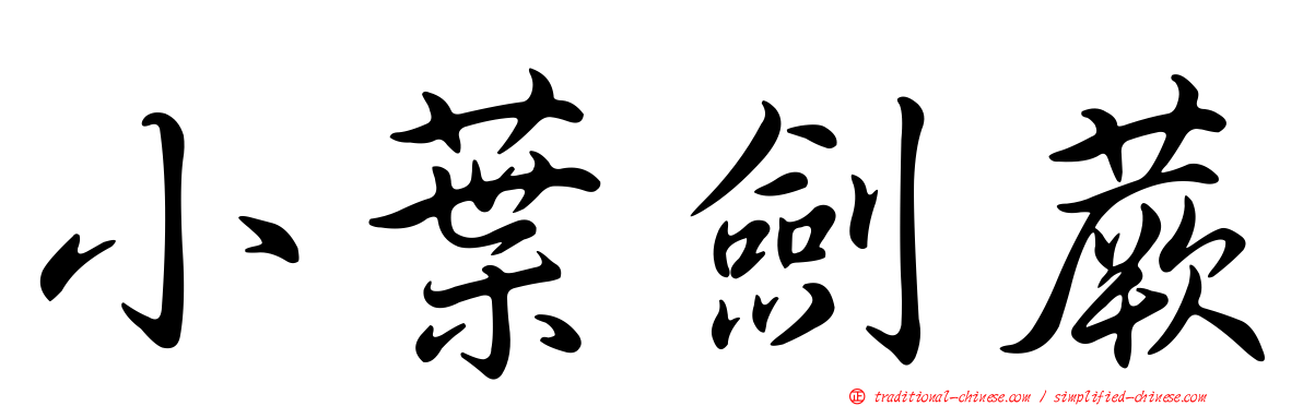 小葉劍蕨