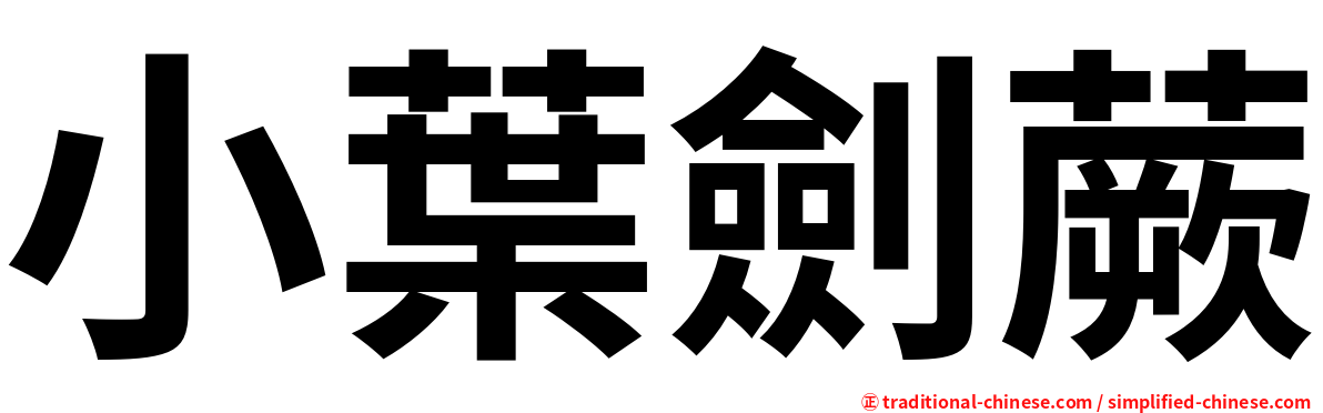 小葉劍蕨