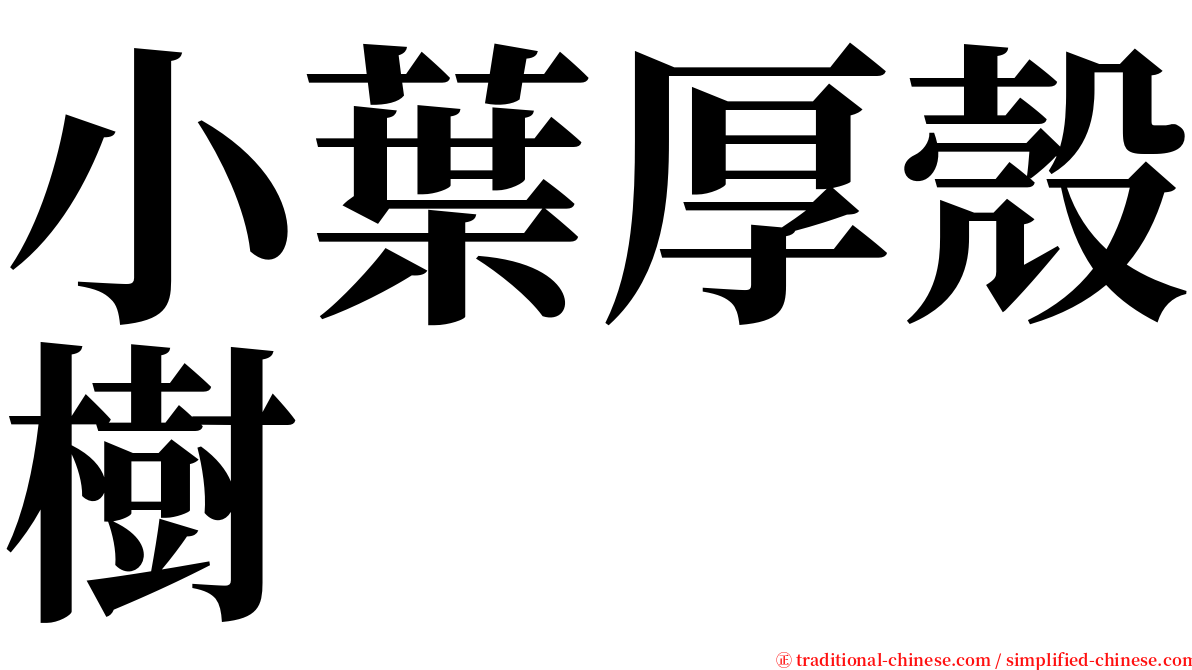 小葉厚殼樹 serif font