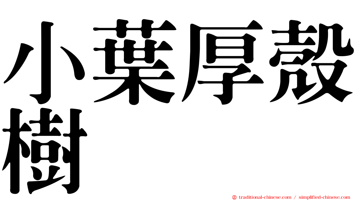小葉厚殼樹