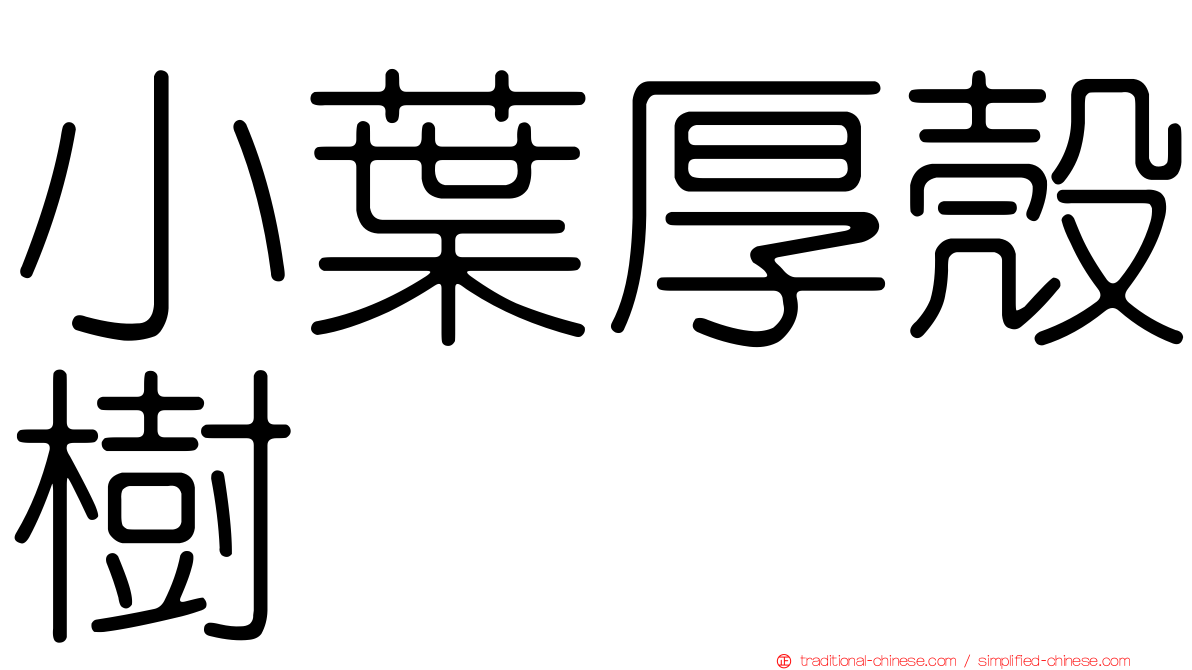 小葉厚殼樹