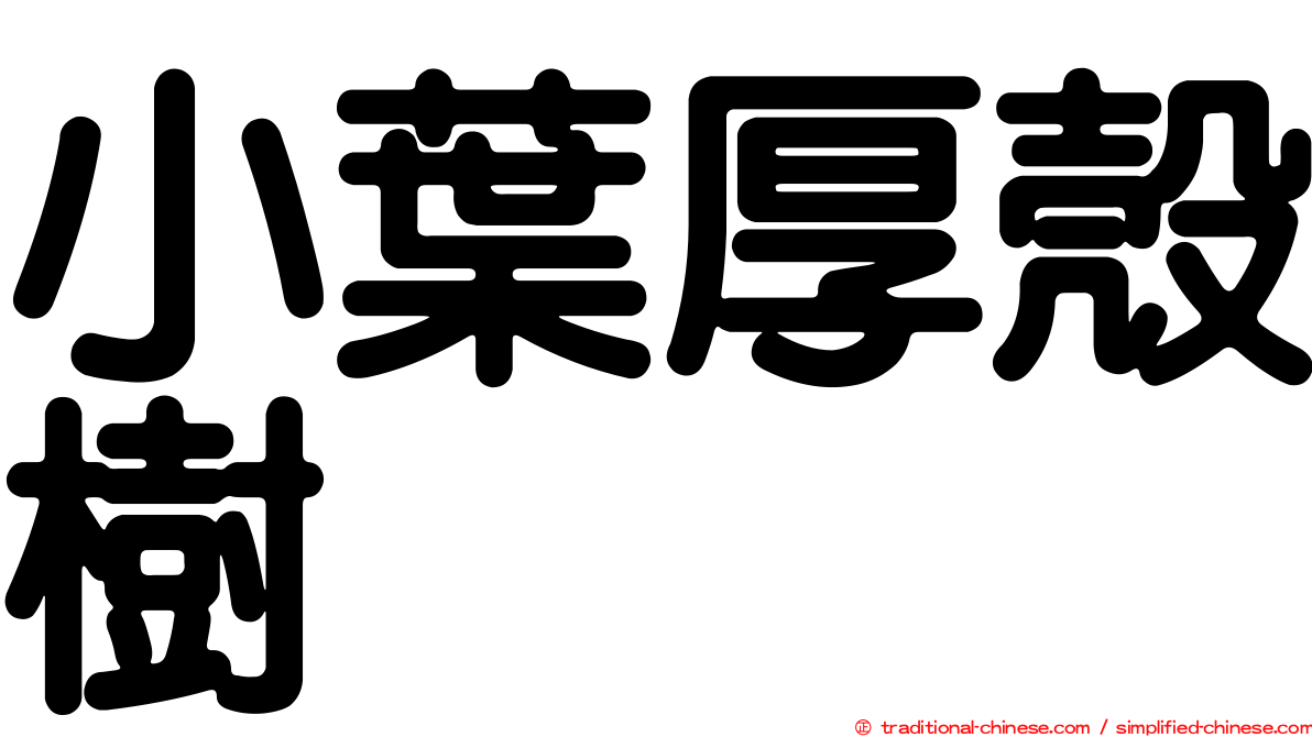 小葉厚殼樹