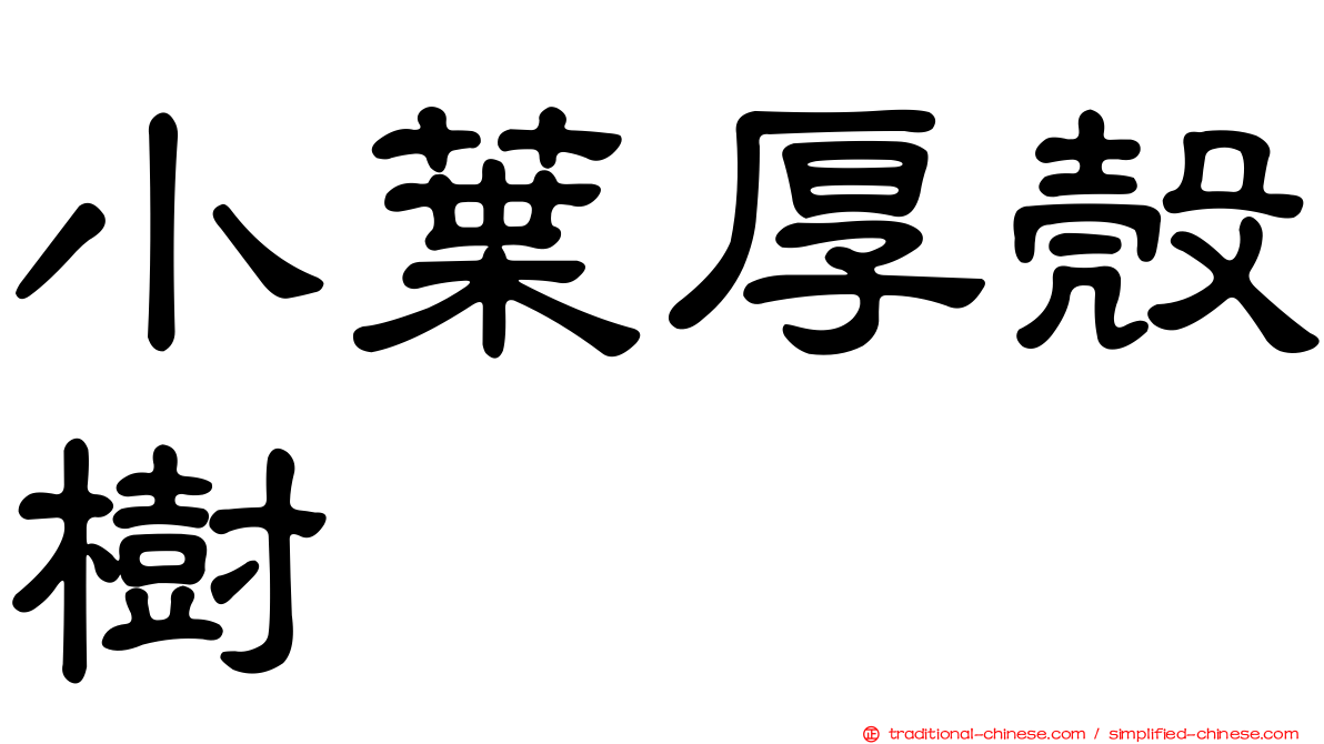 小葉厚殼樹
