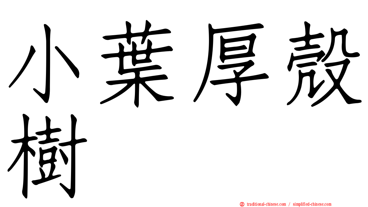 小葉厚殼樹