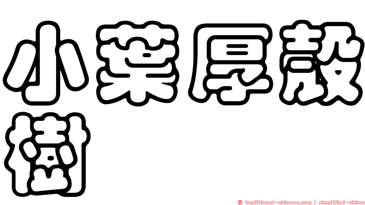 小葉厚殼樹