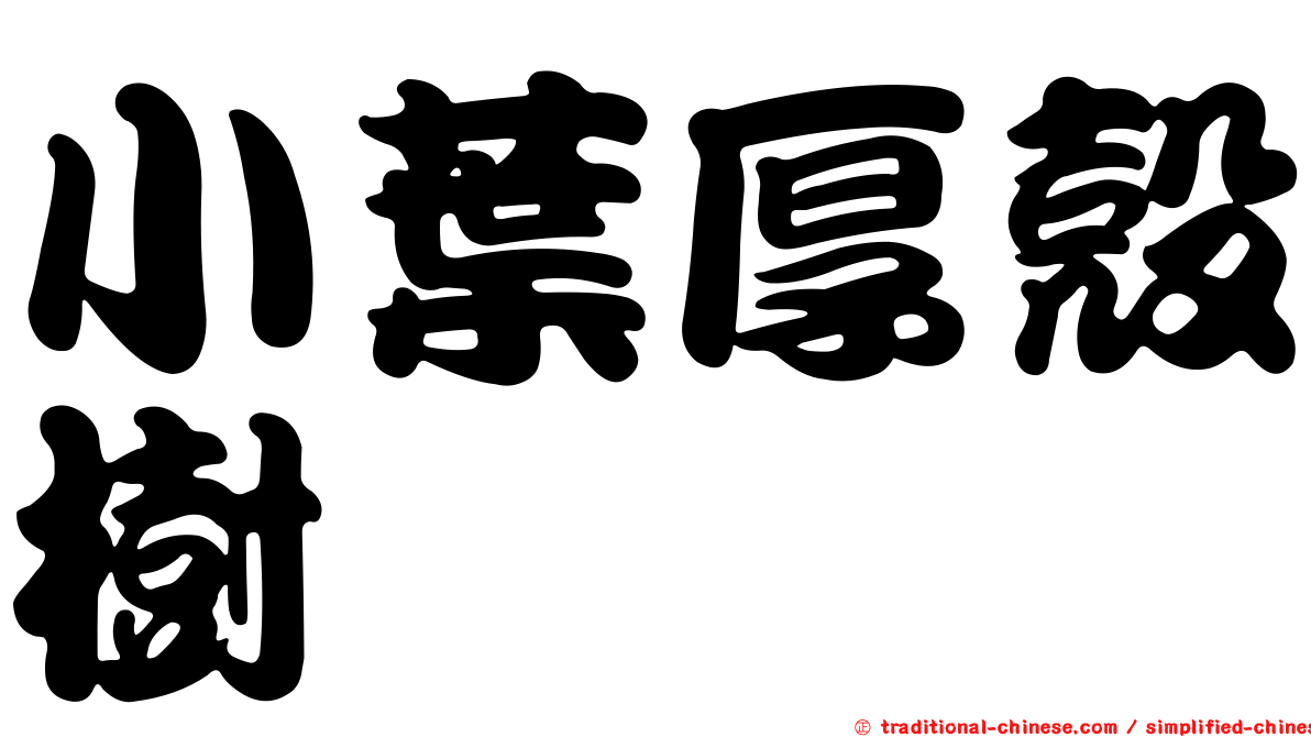 小葉厚殼樹