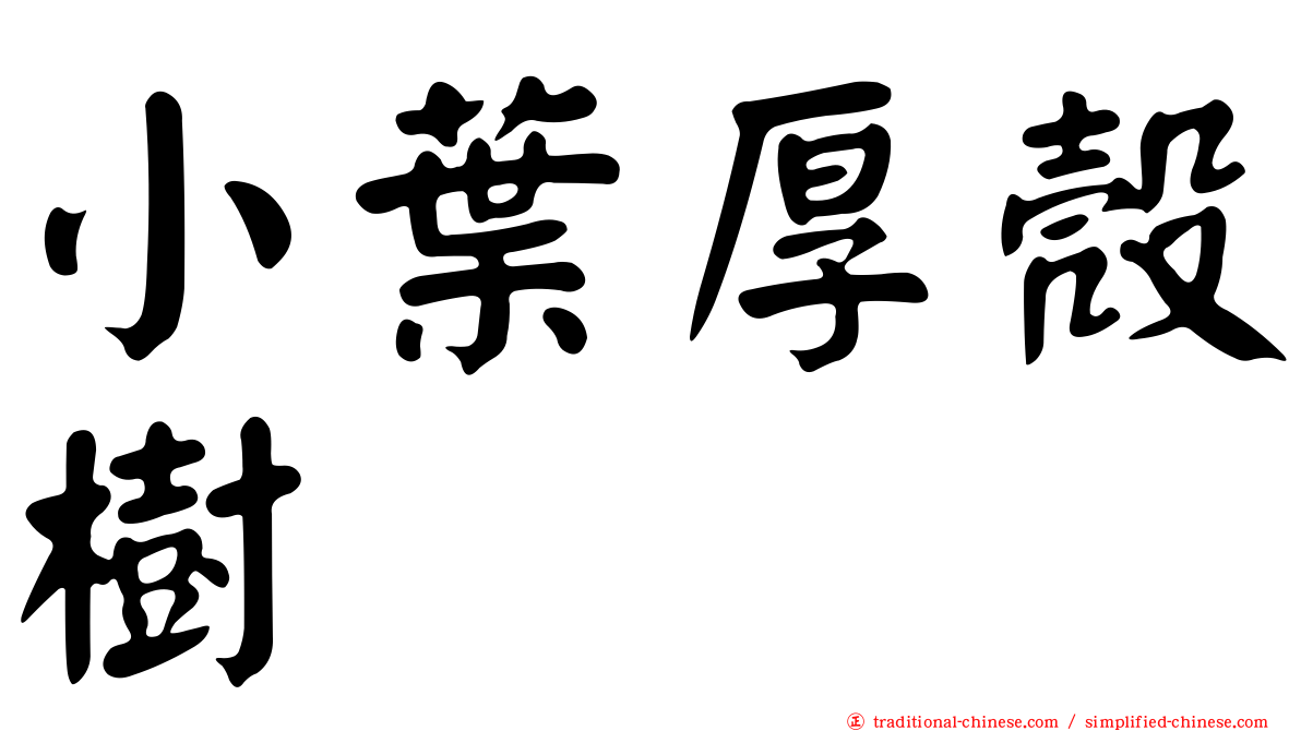 小葉厚殼樹