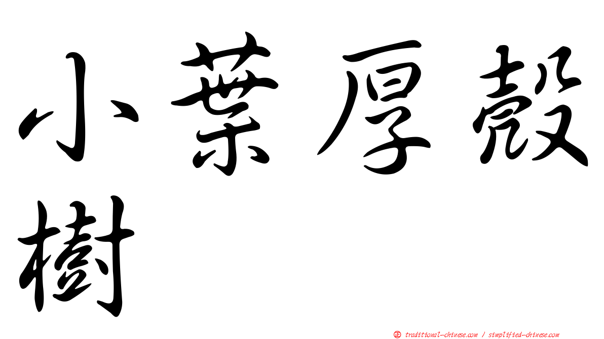 小葉厚殼樹