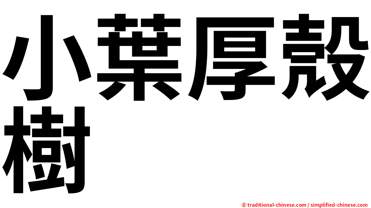 小葉厚殼樹