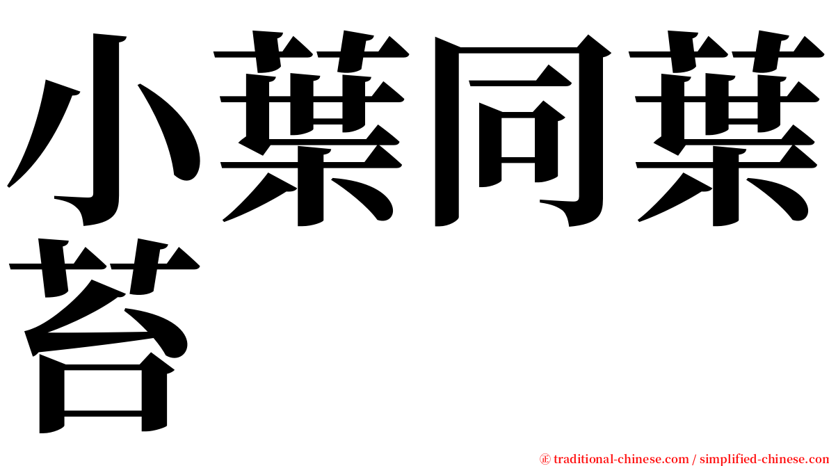 小葉同葉苔 serif font