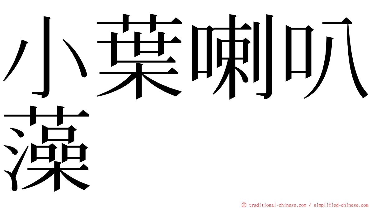 小葉喇叭藻 ming font