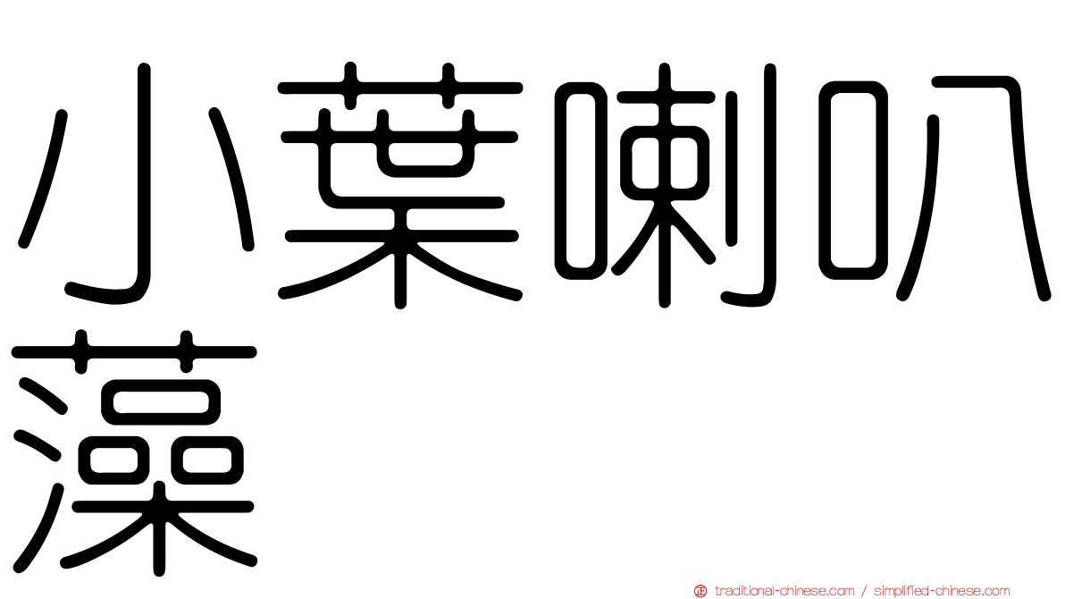 小葉喇叭藻