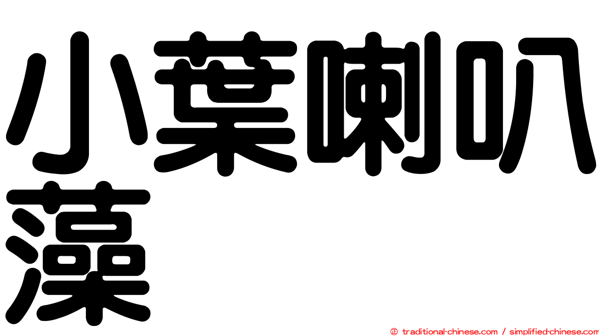 小葉喇叭藻