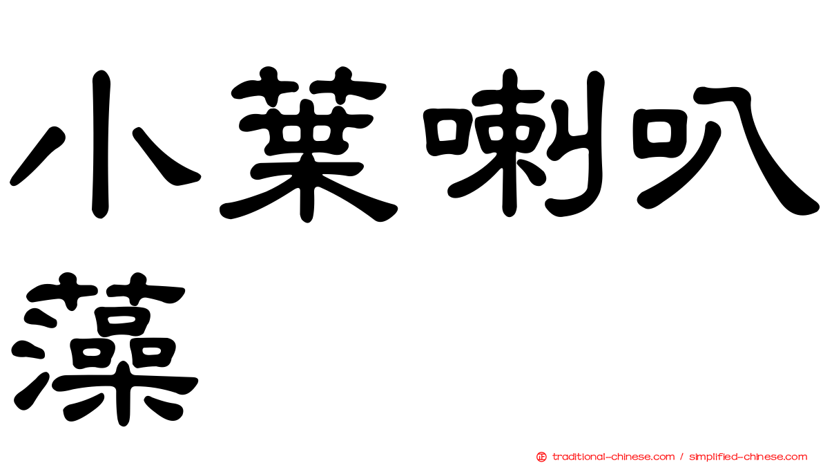 小葉喇叭藻