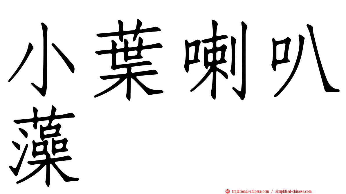 小葉喇叭藻