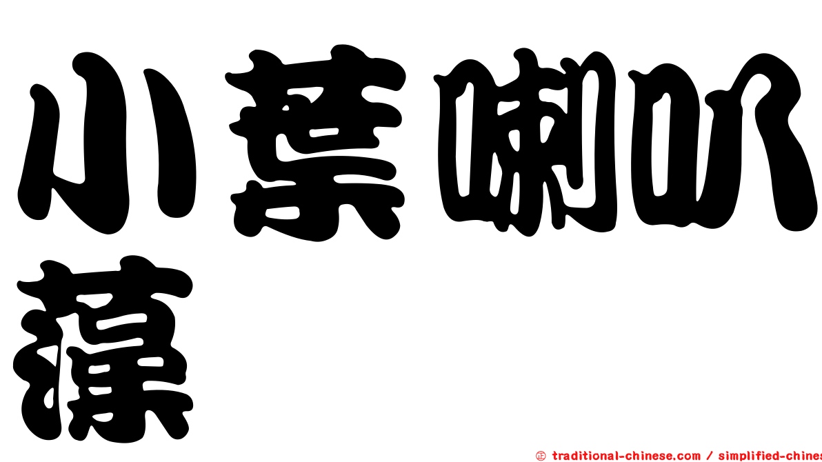 小葉喇叭藻