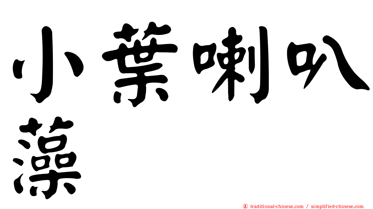 小葉喇叭藻