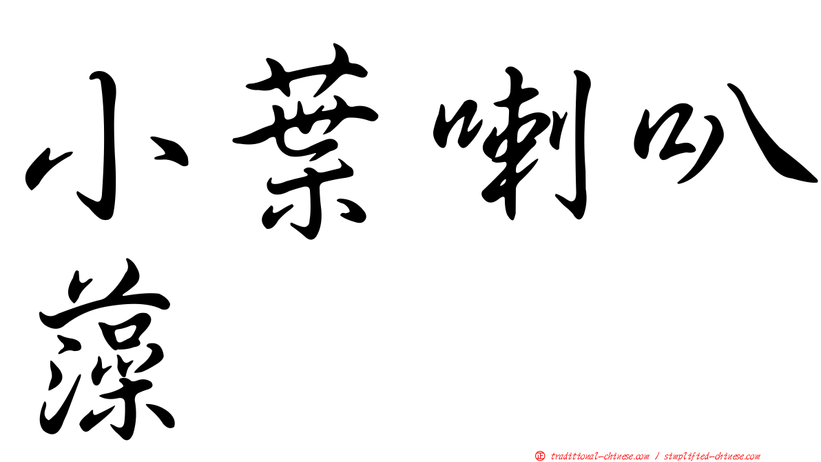 小葉喇叭藻