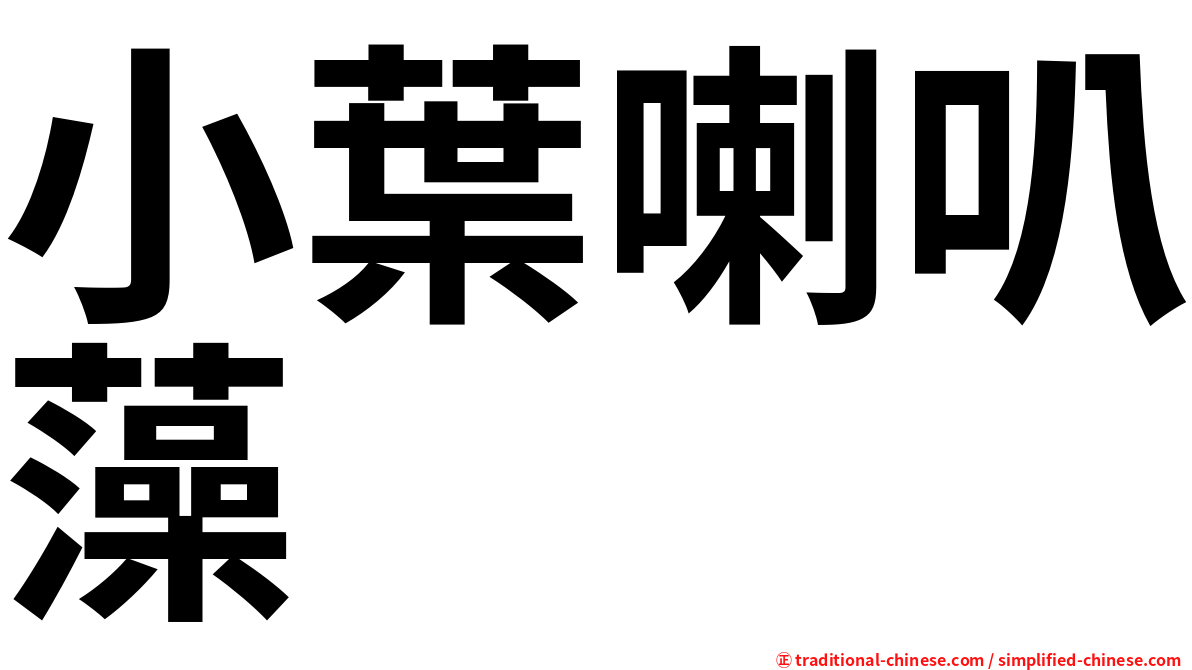 小葉喇叭藻