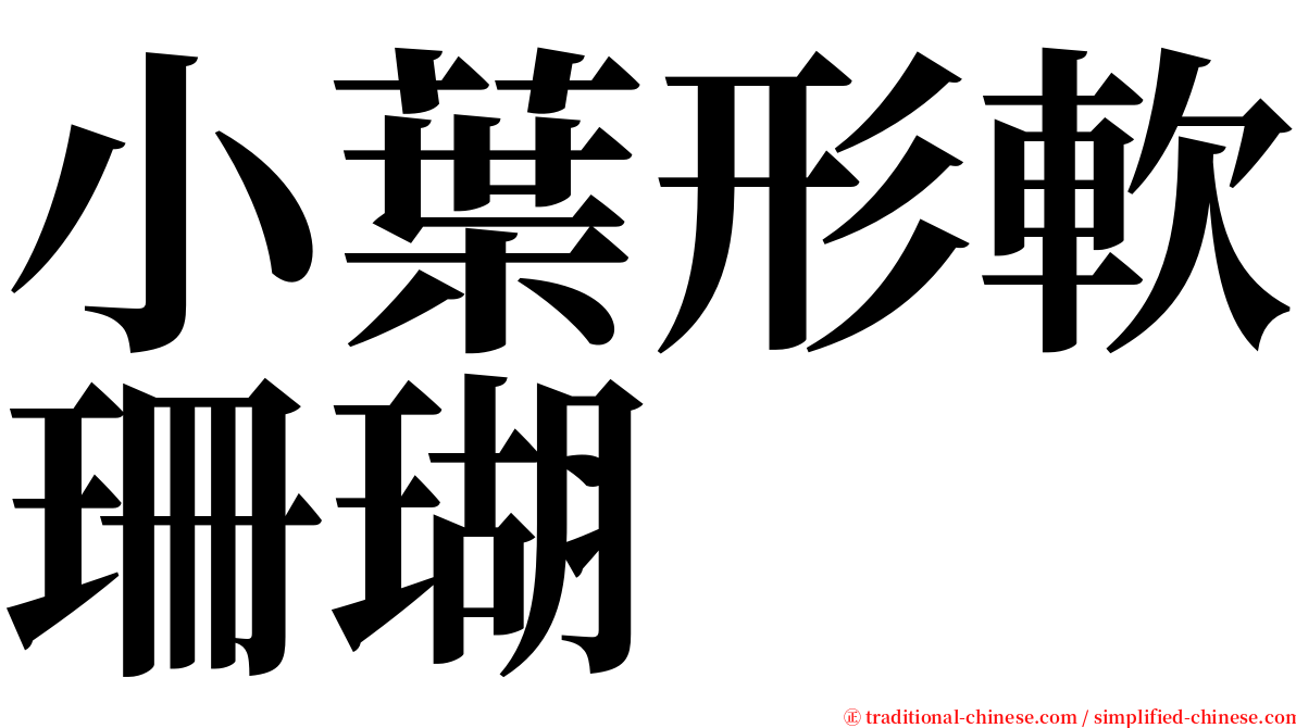 小葉形軟珊瑚 serif font