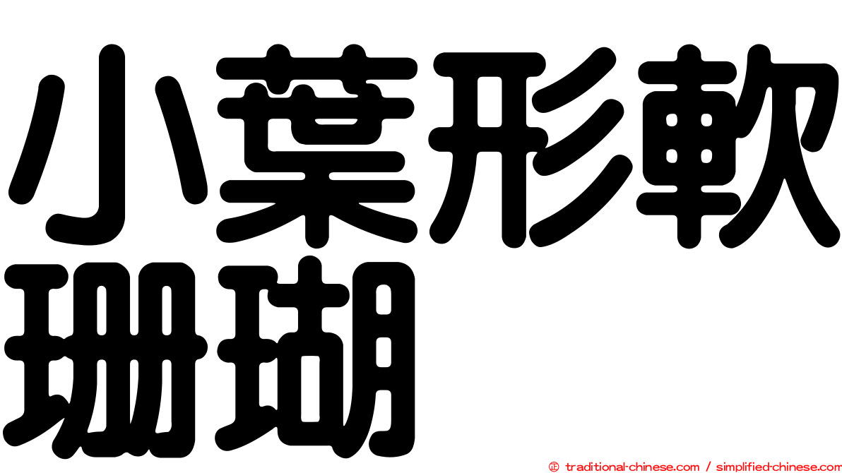 小葉形軟珊瑚