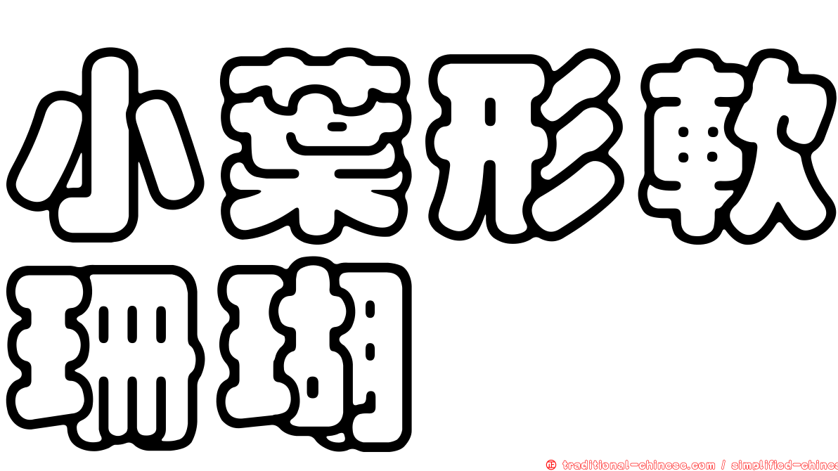 小葉形軟珊瑚