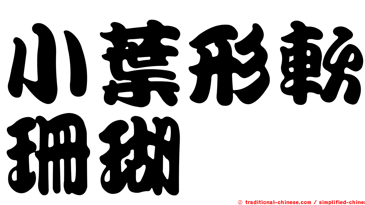 小葉形軟珊瑚