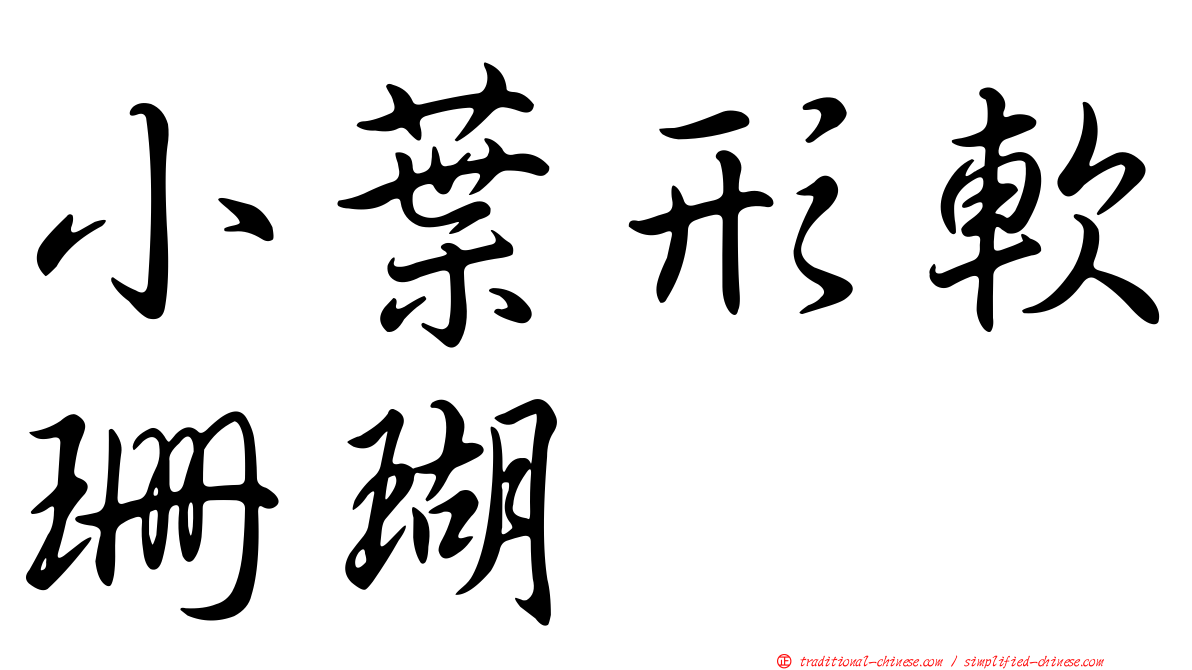 小葉形軟珊瑚