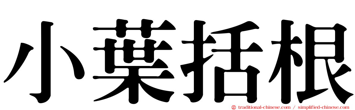 小葉括根